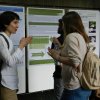 Jornadas 17. Posteres