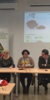 Jornadas 2020