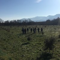 Jornadas 2020