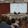 Jornadas 2025