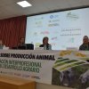 Jornadas 2025