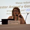 Jornadas 2025