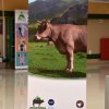 Jornadas 2025