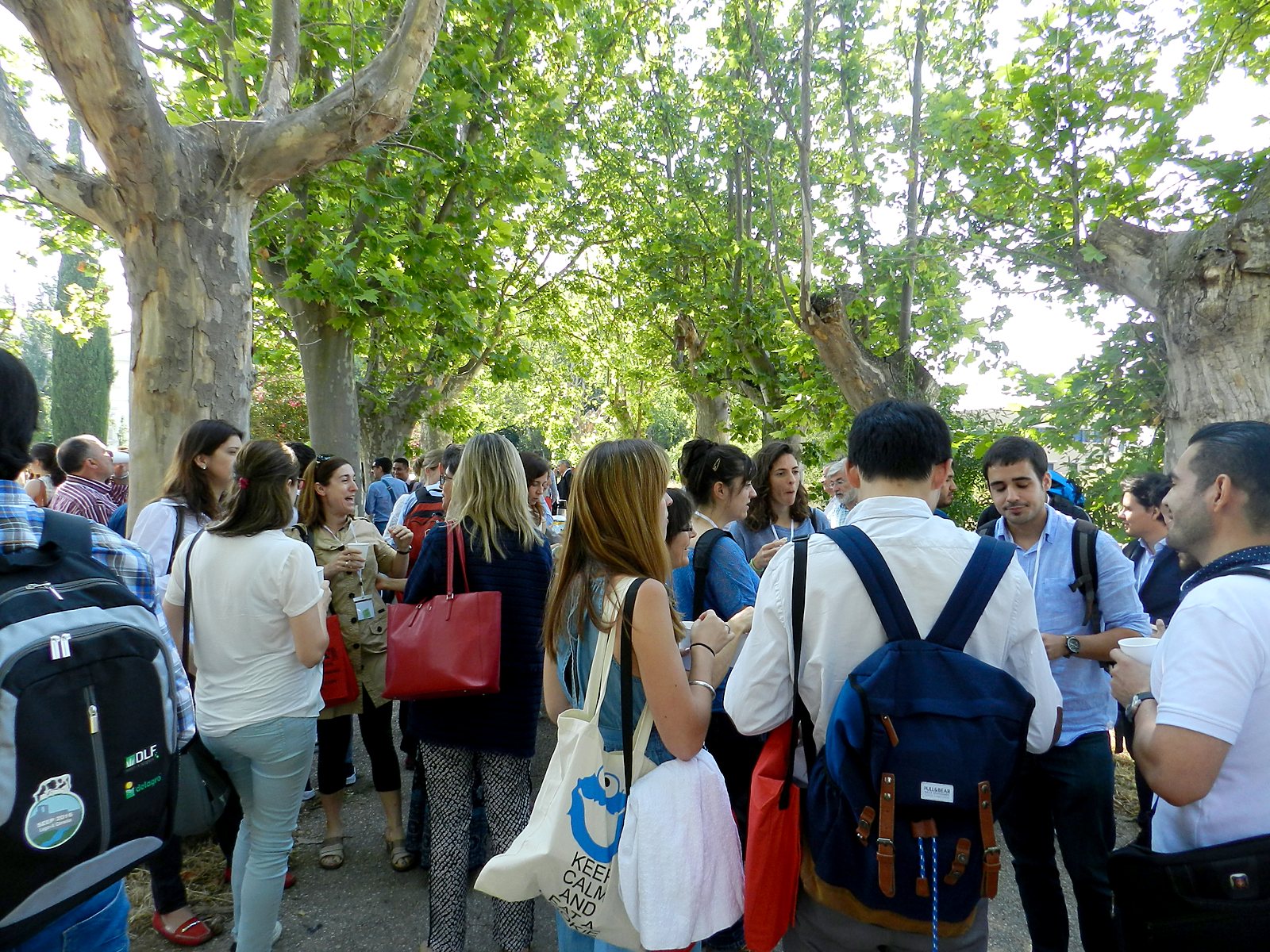 Jornadas AIDA 2017. Pausa café en los jardines del campus
