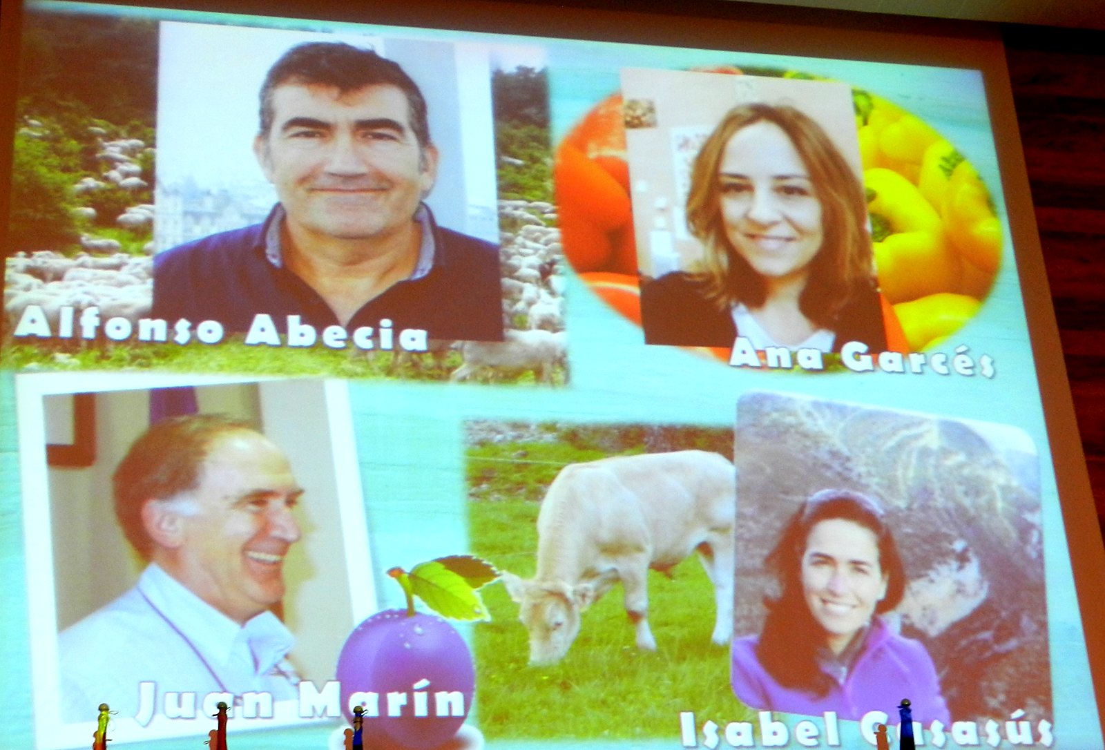Jornadas AIDA 2017. Inauguración y homenaje en el salón de actos