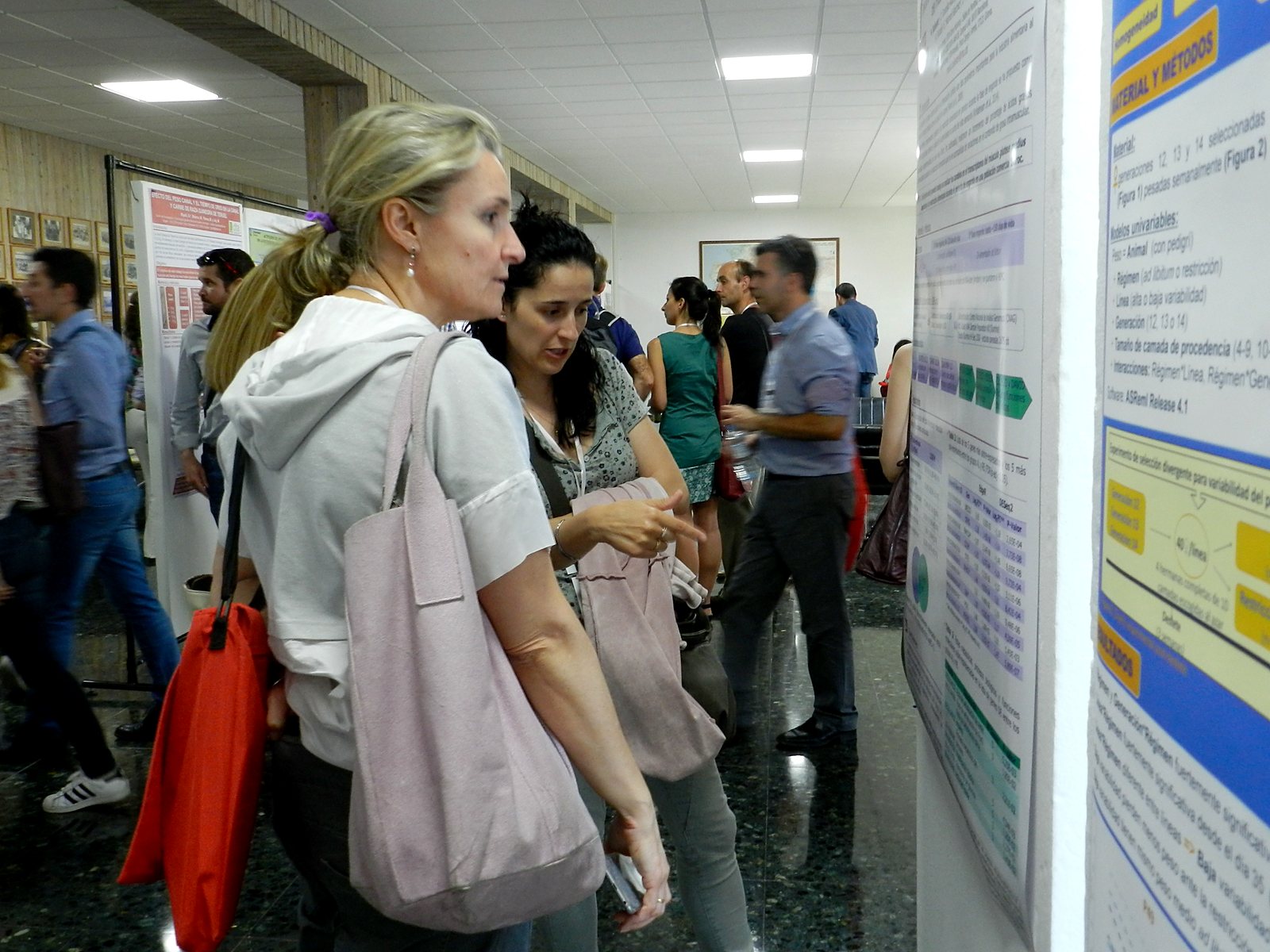 Jornadas AIDA 2017. Sesión de pósteres