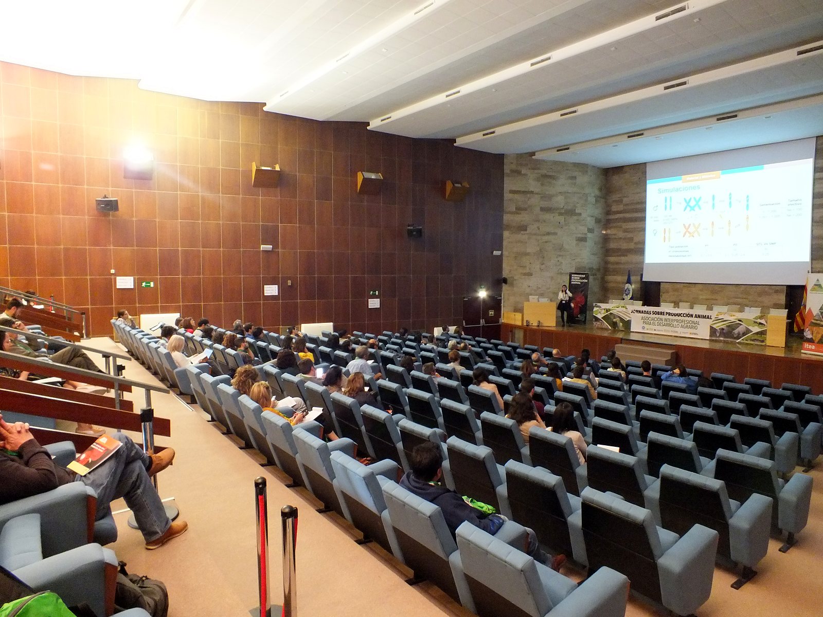 Jornadas AIDA 2019. Sesiones de comunicaciones
