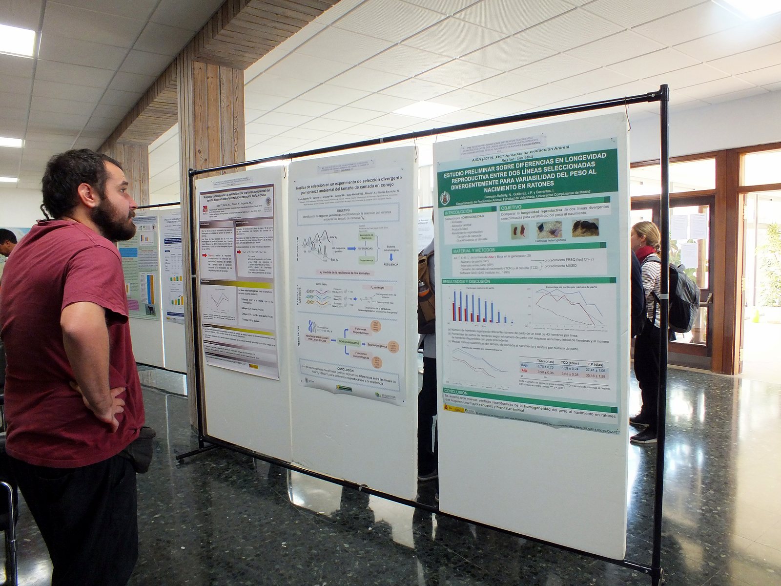 Jornadas AIDA 2019. Sesión de pósteres