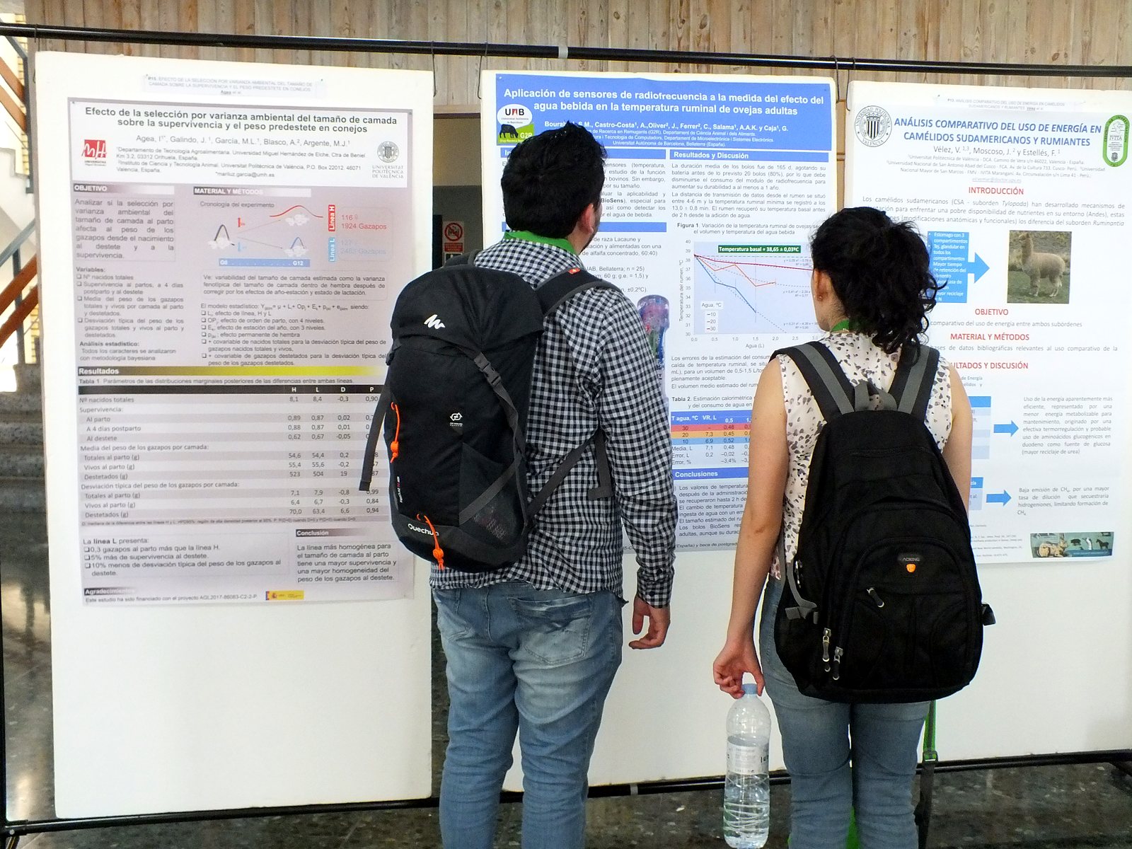 Jornadas AIDA 2019. Sesión de pósteres