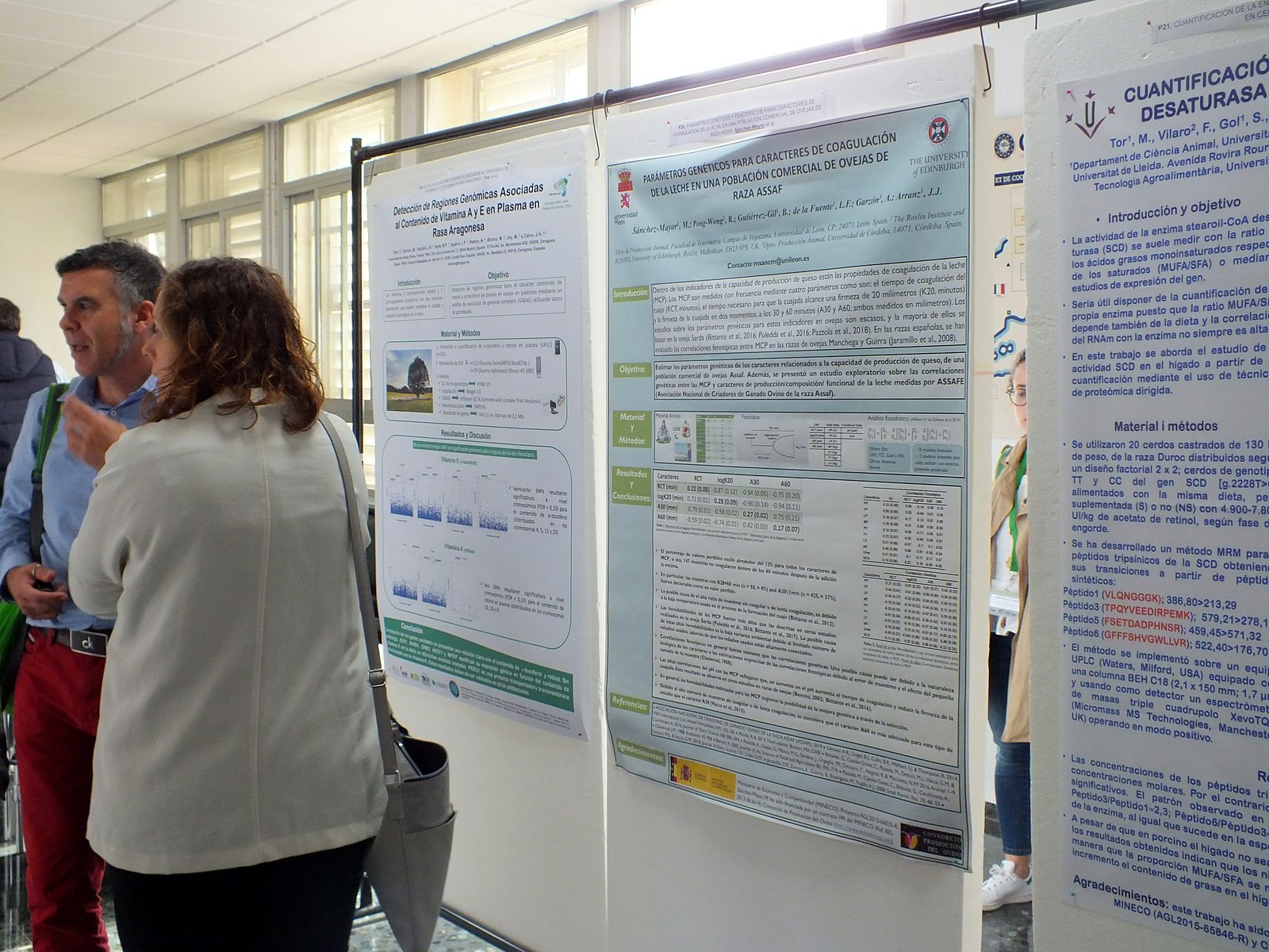 Jornadas AIDA 2019. Segunda jornada. Sesión de pósteres