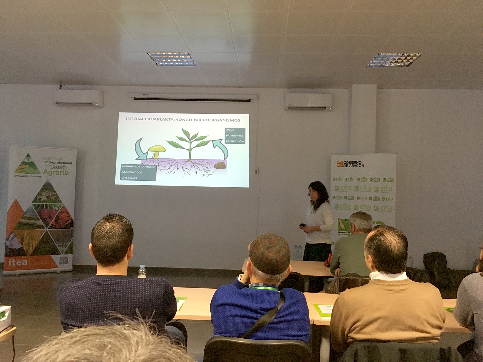 Jornadas AIDA 2020. Ponencias de la mañana