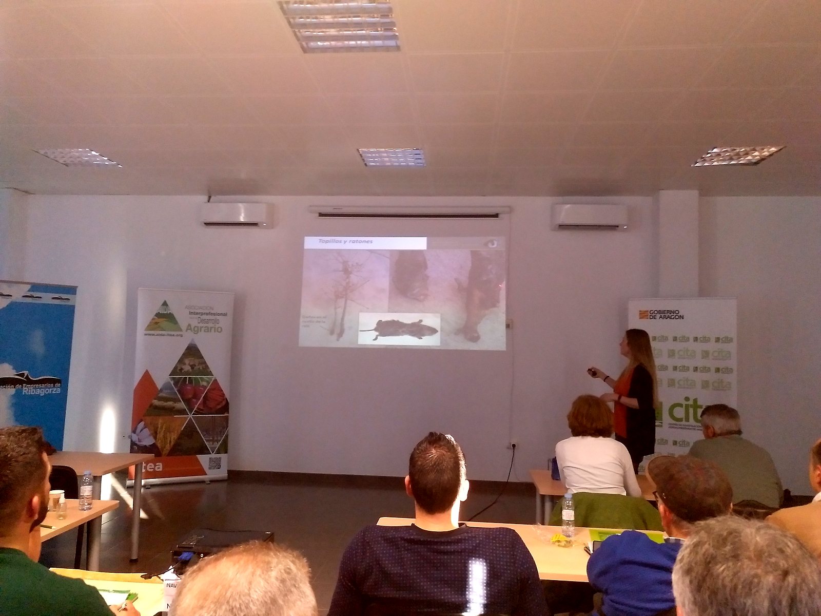 Jornadas AIDA 2020. Ponencias de la tarde