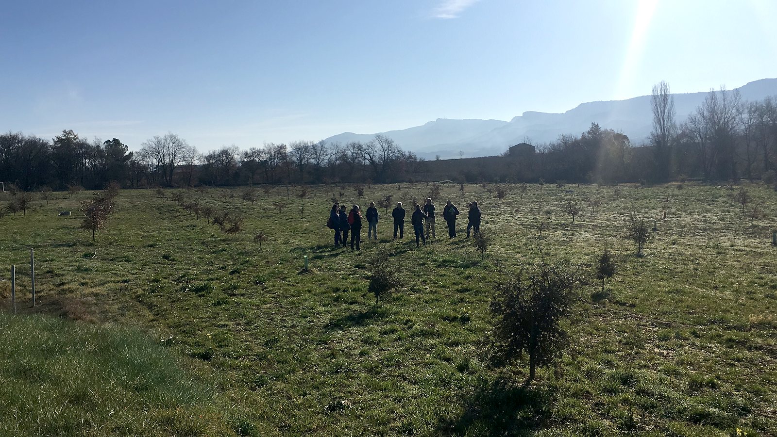 Jornadas AIDA 2020. Segunda jornada. Visita a plantaciones truferas