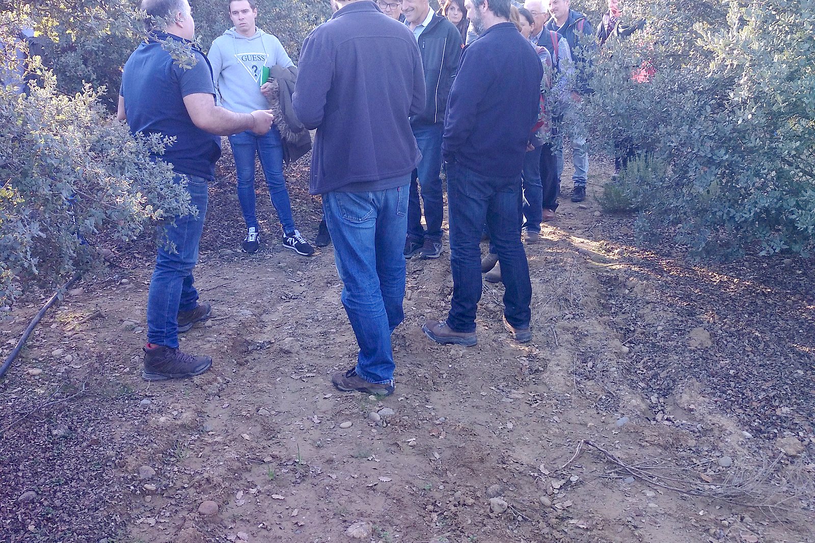 Jornadas AIDA 2020. Segunda jornada. Visita a plantaciones truferas