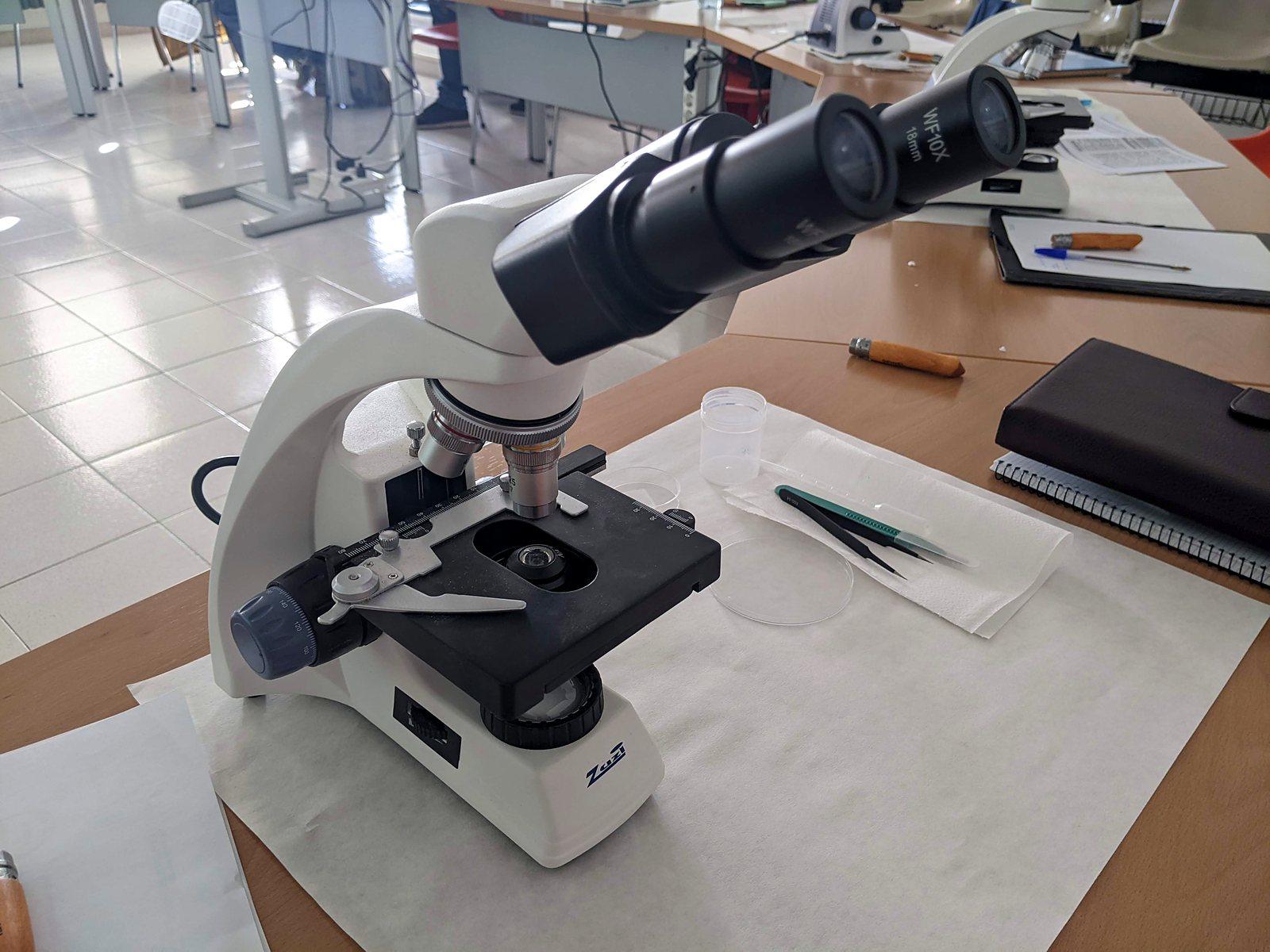 Jornadas AIDA 2022. Taller de identificación de especies de hongos hipogeos