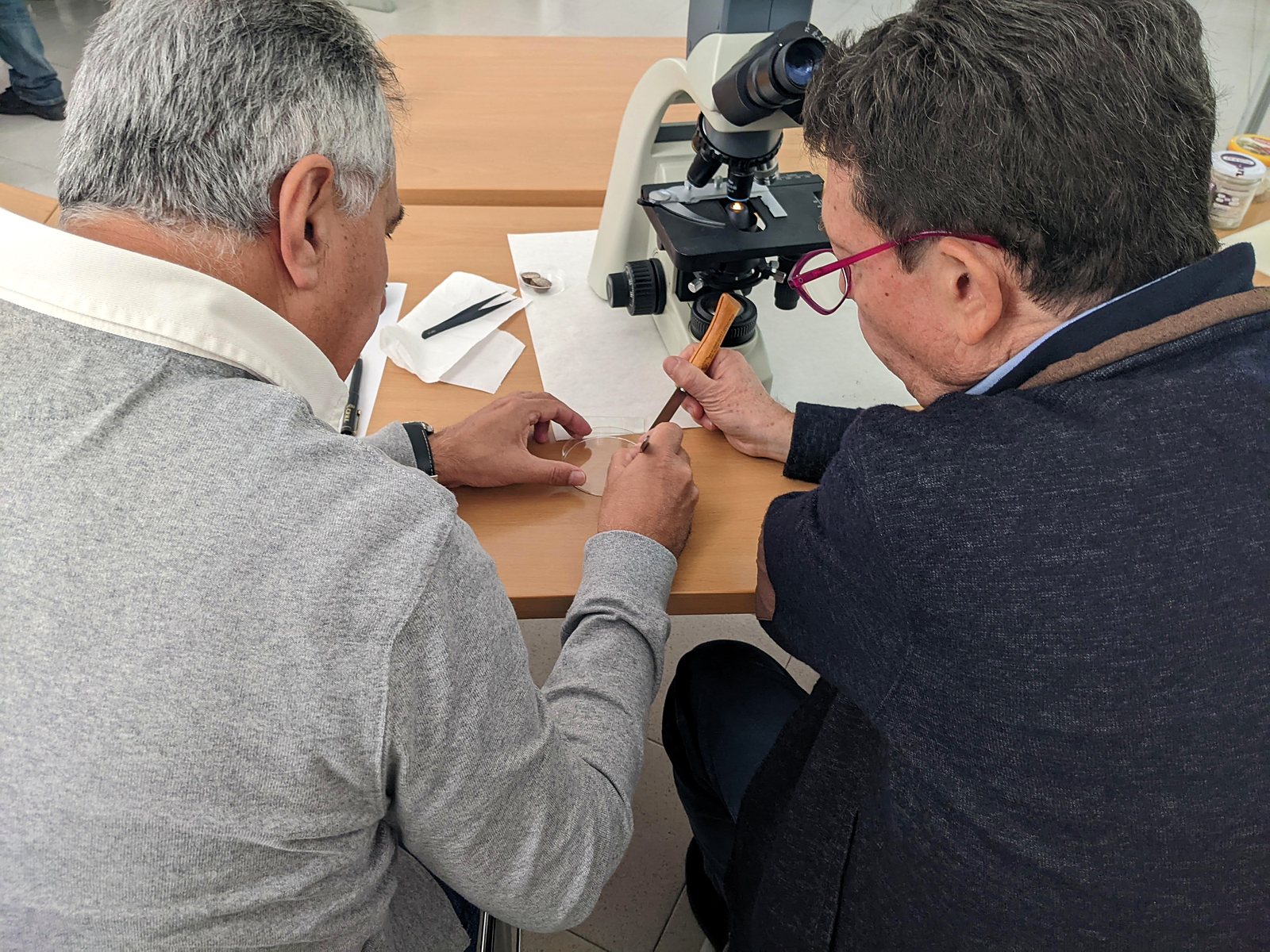 Taller de identificación de especies de trufa con microscopio