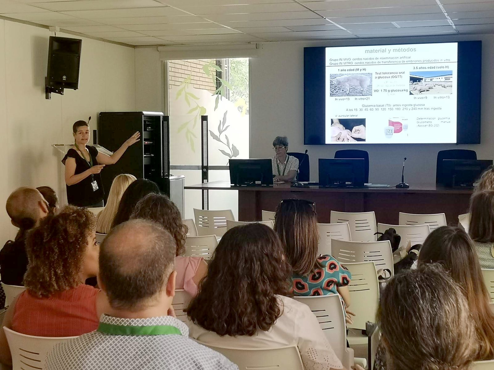 Jornadas AIDA 2023. Sesiones de comunicaciones