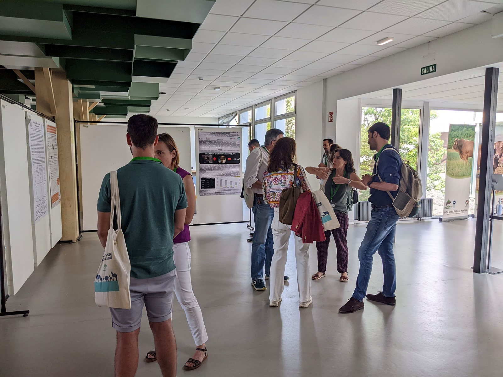 Jornadas AIDA 2023. Sesiones de comunicaciones