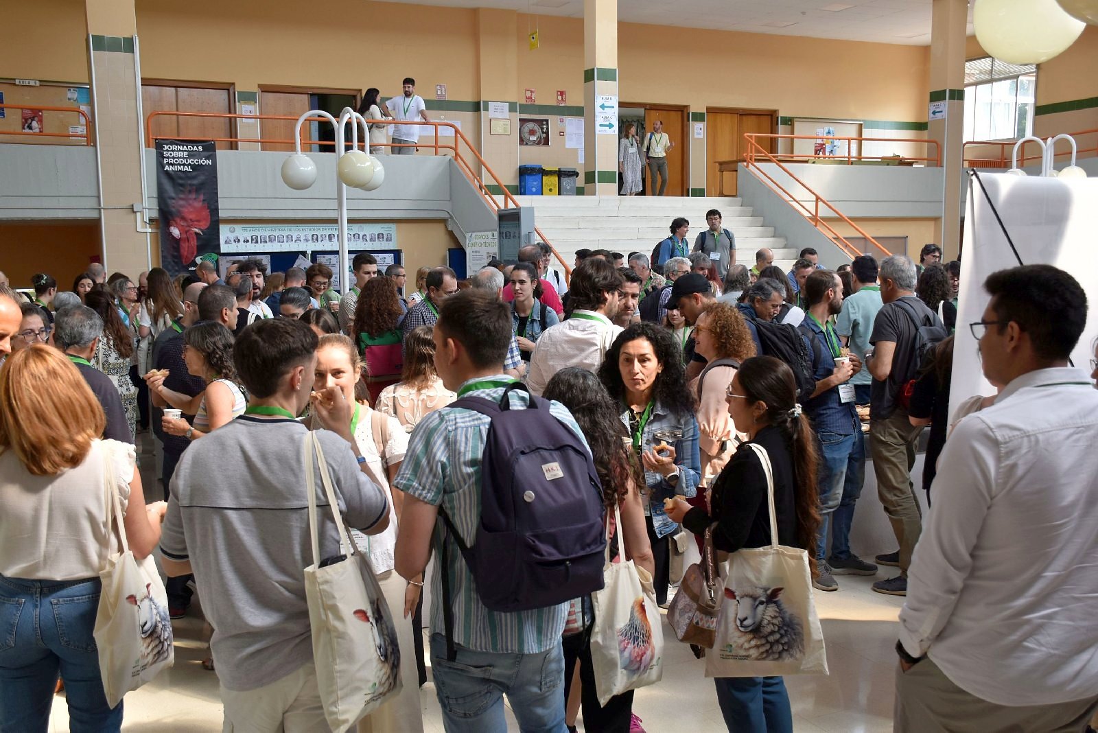 Jornadas AIDA 2025. Segunda jornada. Pausa café