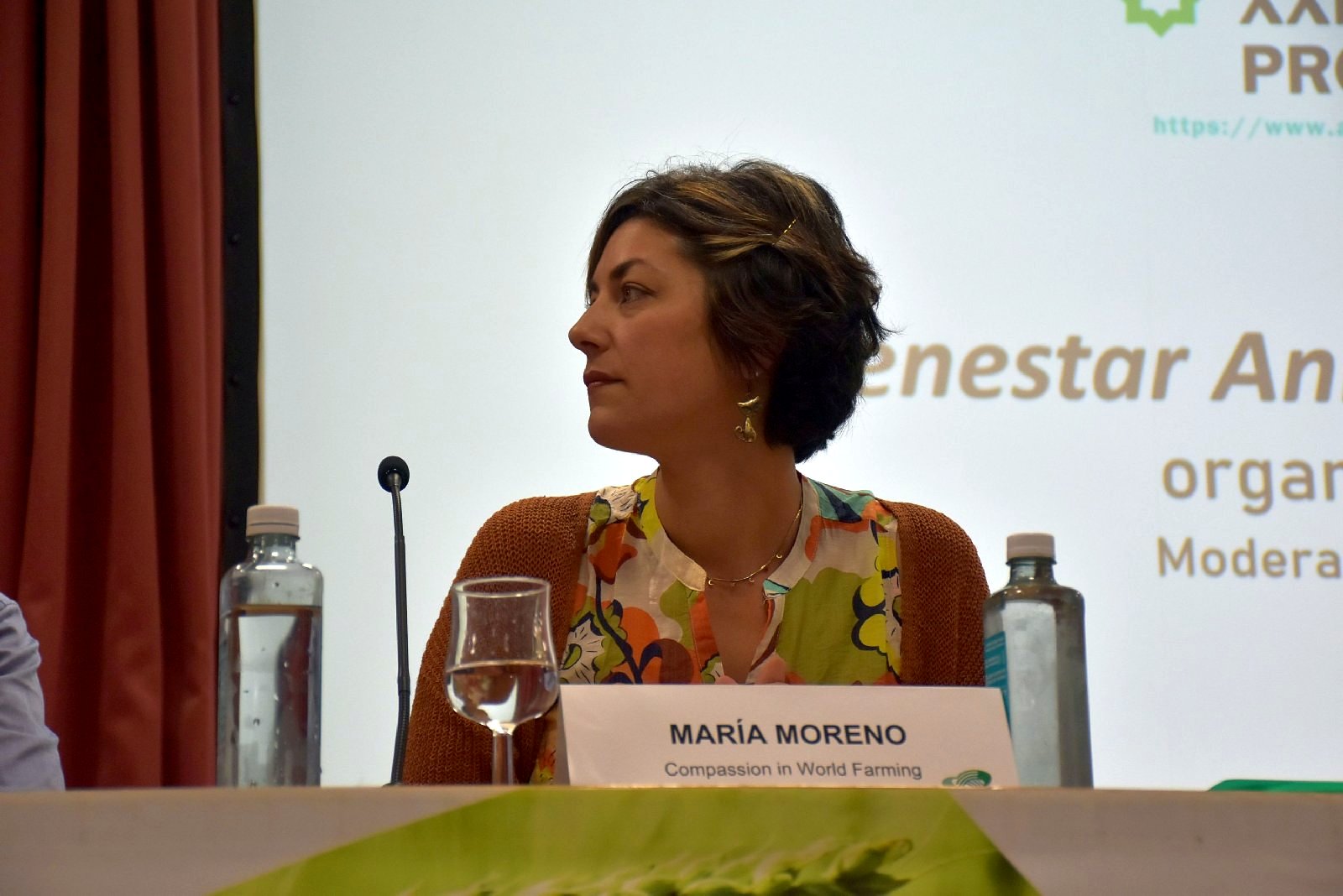 Jornadas AIDA 2025. Mesa redonda sobre bienestar animal y ganadería