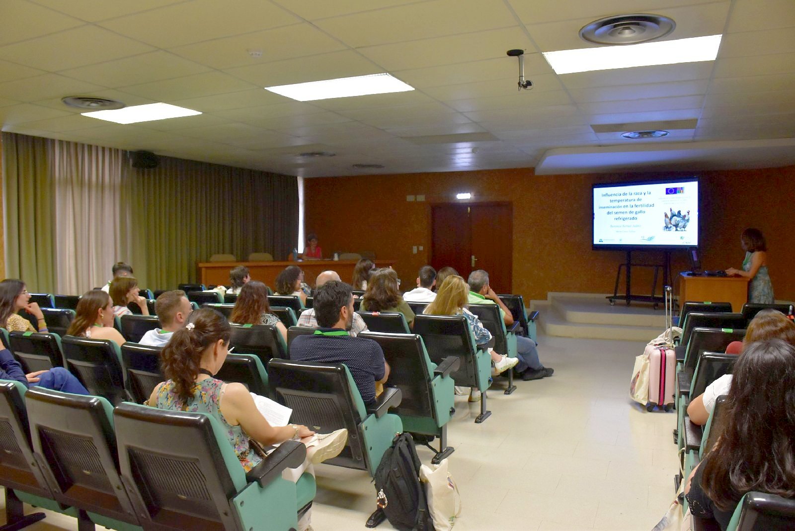 Jornadas AIDA 2025. Sesiones de comunicaciones