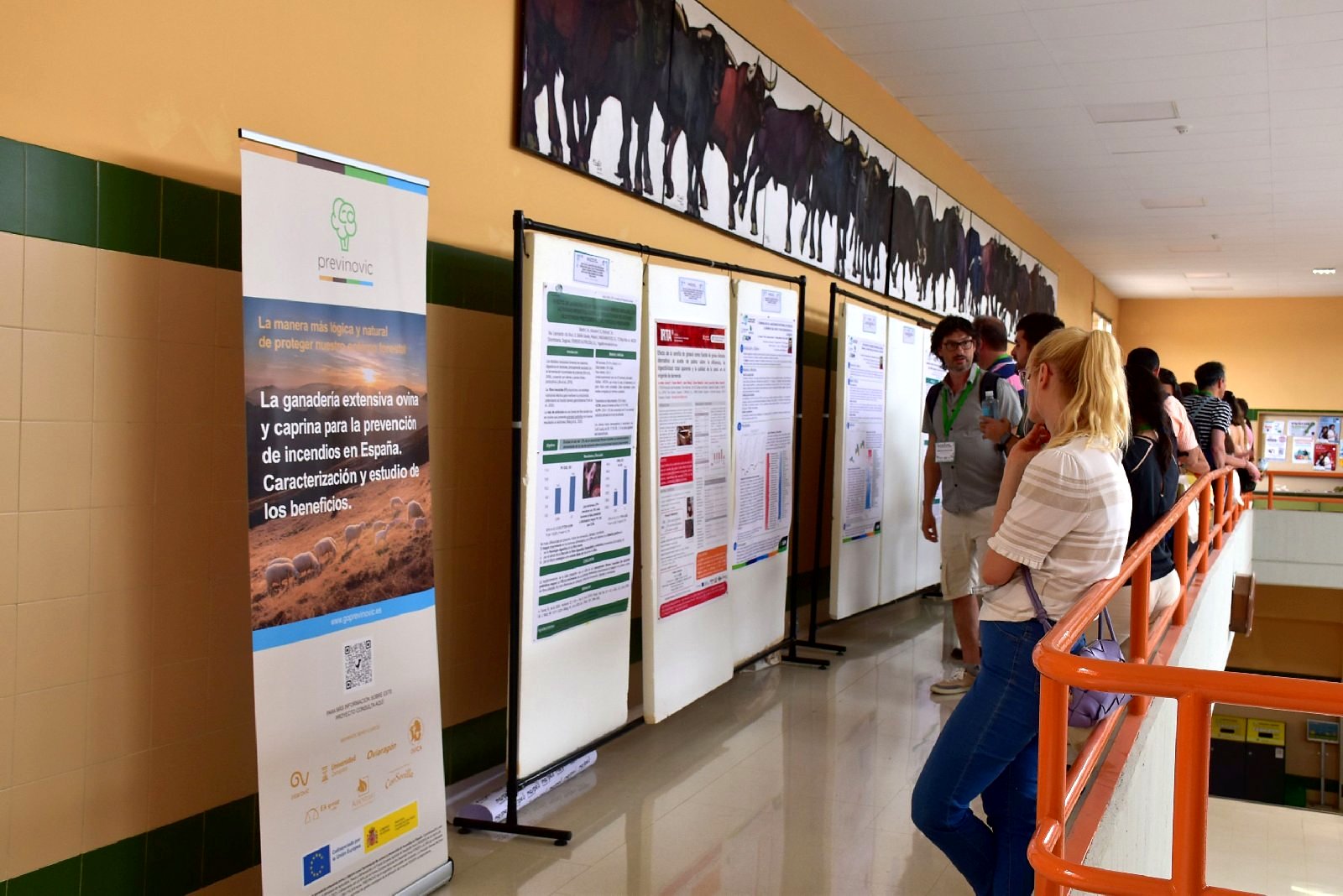 Jornadas AIDA 2025. Sesión de pósteres