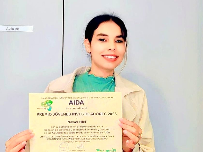 Nawel Hlel, Premio Jóvenes Investigadores 2025