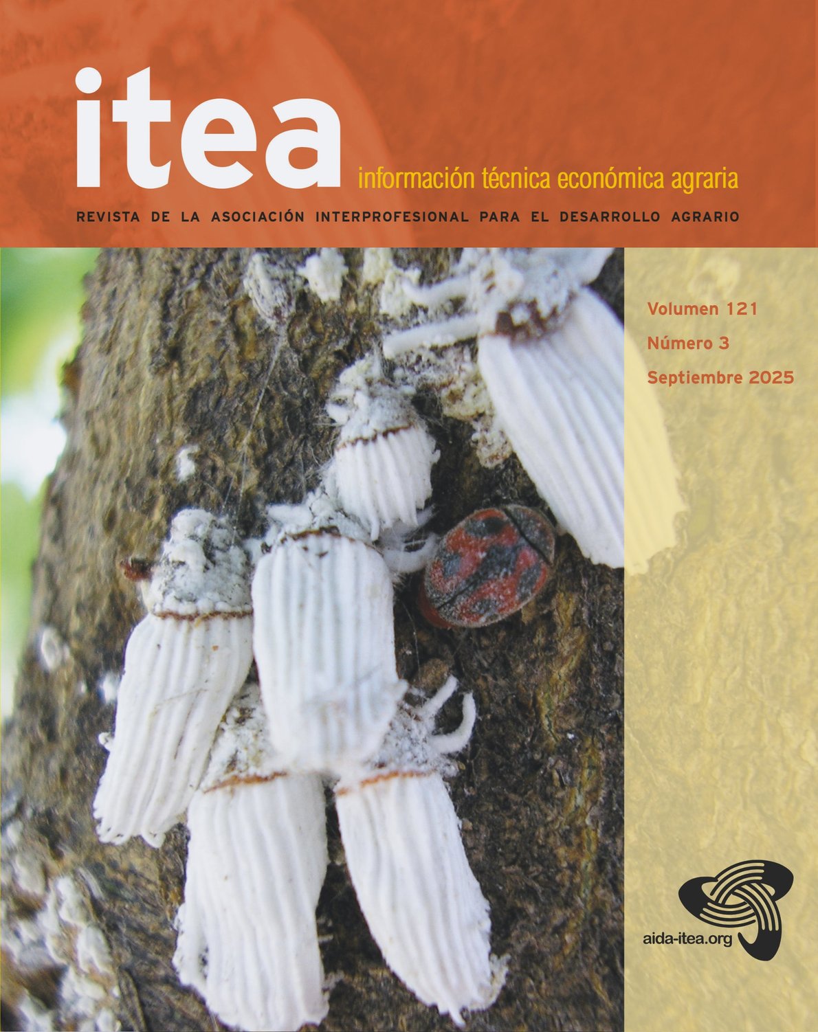 Portada del volumen 121(3) de ITEA: colonia de cochinilla acanalada (Icerya purchasi) junto a un ejemplar de Rodolia cardinalis, su depredador natural